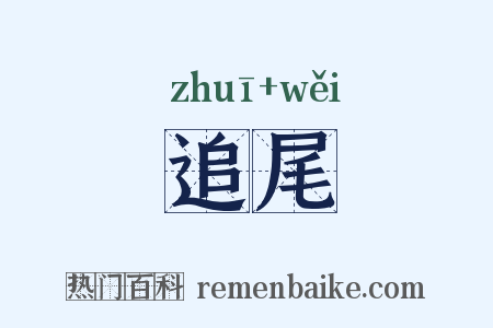 追尾是什么意思的图片